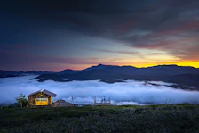 Cozy cabin with panoramic volcanic views framed by lush tropical plants at dawn.