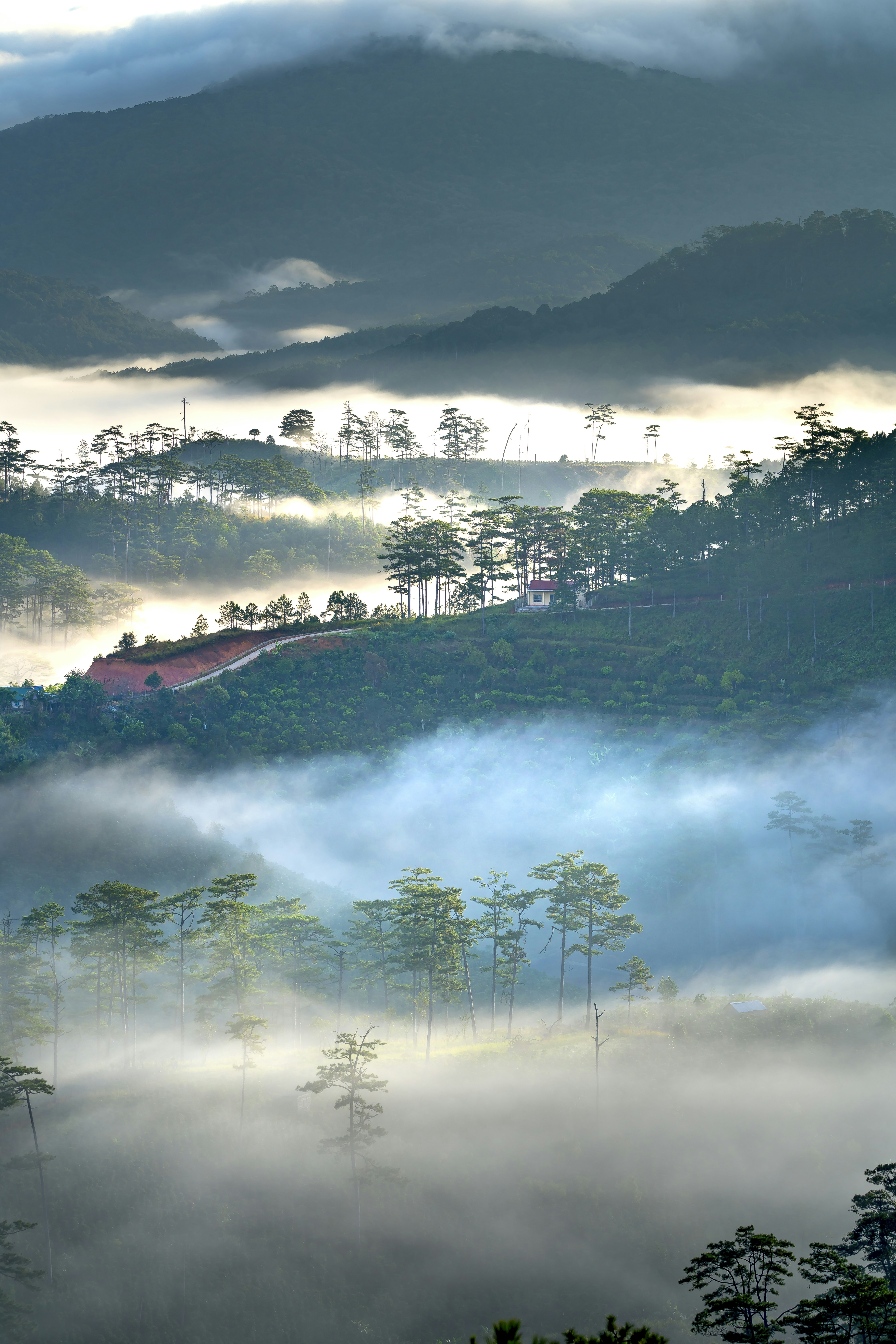 Photo by quangpraha