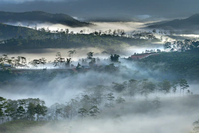 Misty hills of Lansdowne blanketed in early morning fog with pine trees standing tall.