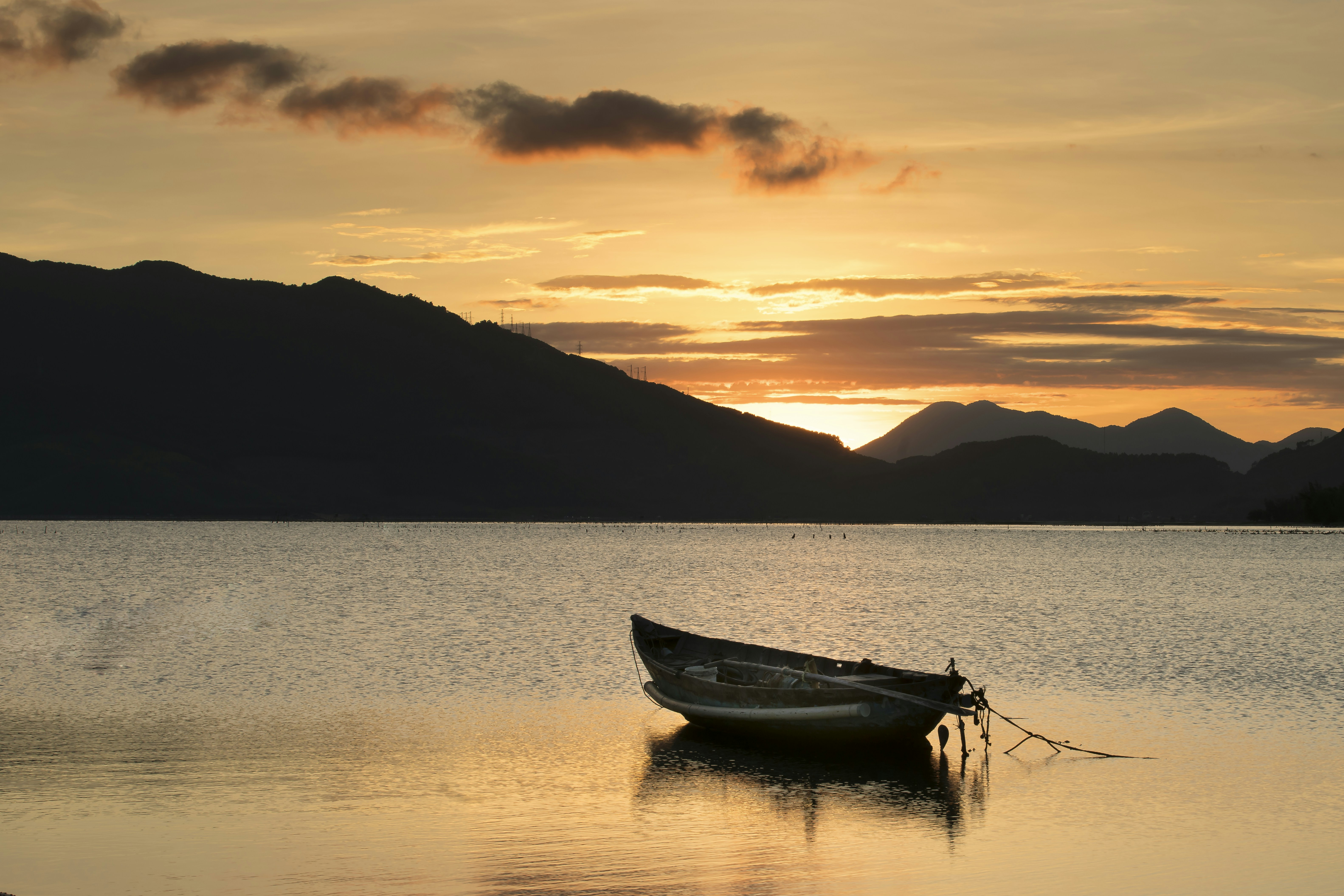 Photo by quangpraha