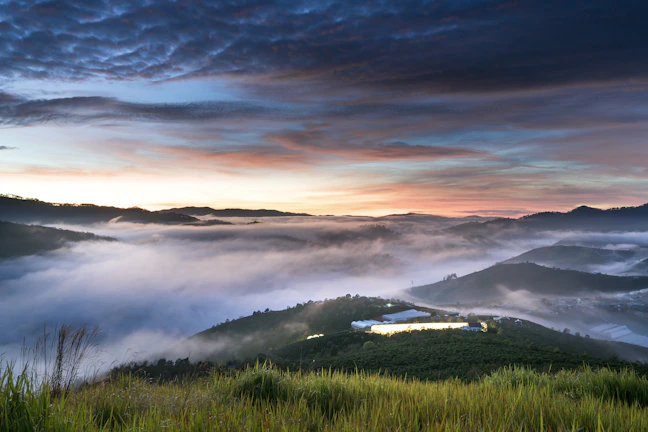 A panoramic view of a misty mountain range with olive and dark green tones at dawn.