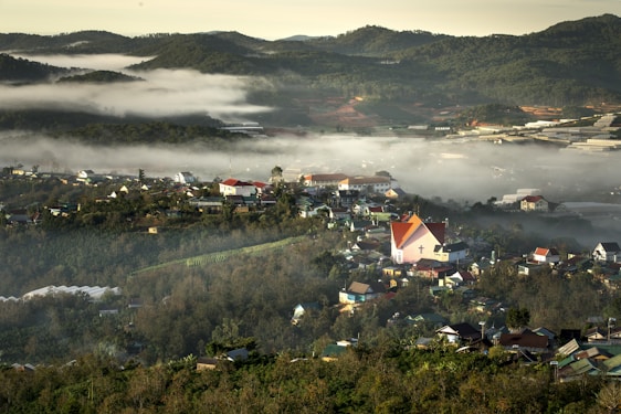 A serene view of Zacatlán's lush landscapes with colorful flowers and misty hills at dawn.
