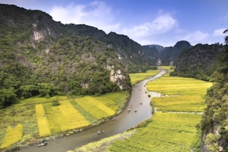A serene landscape featuring a winding river cutting through lush green rice paddies, flanked by steep, forested limestone cliffs. The view is from a heightened perspective, showcasing tiny boats on the river and expansive yellow-green fields that stretch towards misty hills in the background.