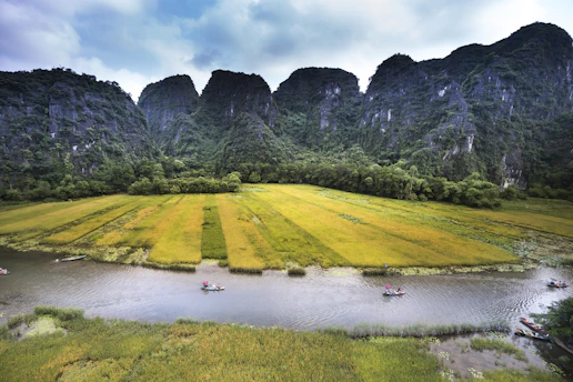 a large grassy field next to a river