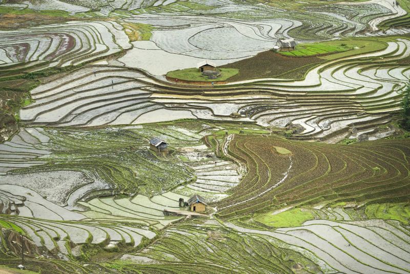 Campagne chinoise