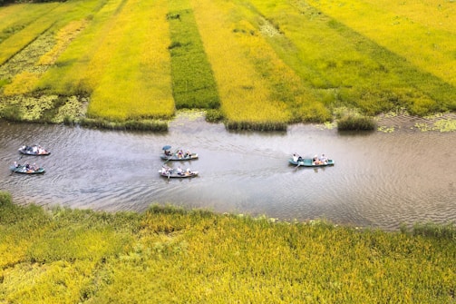 A serene river landscape with boats and greenery.