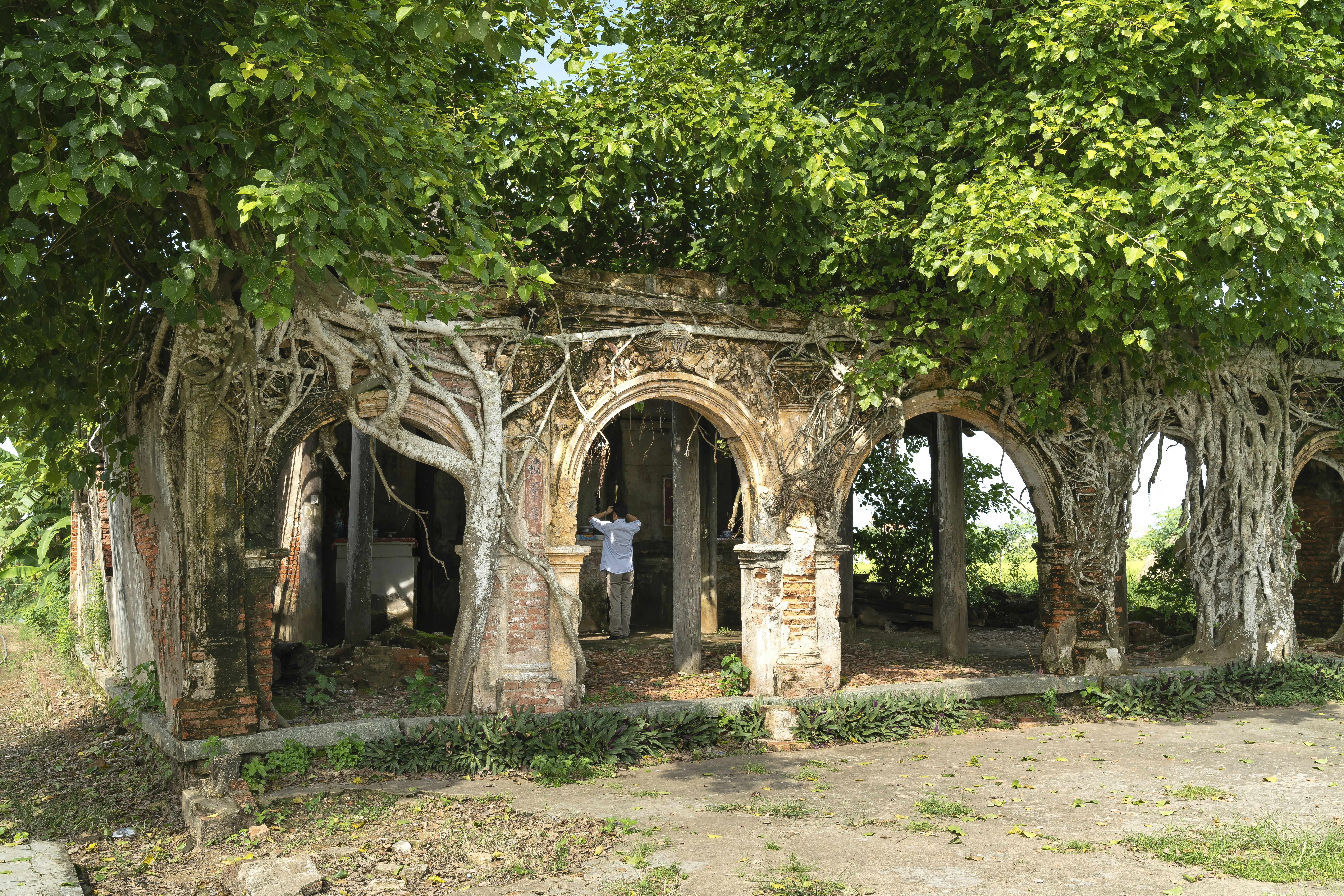 a man standing in a doorway surrounded by trees