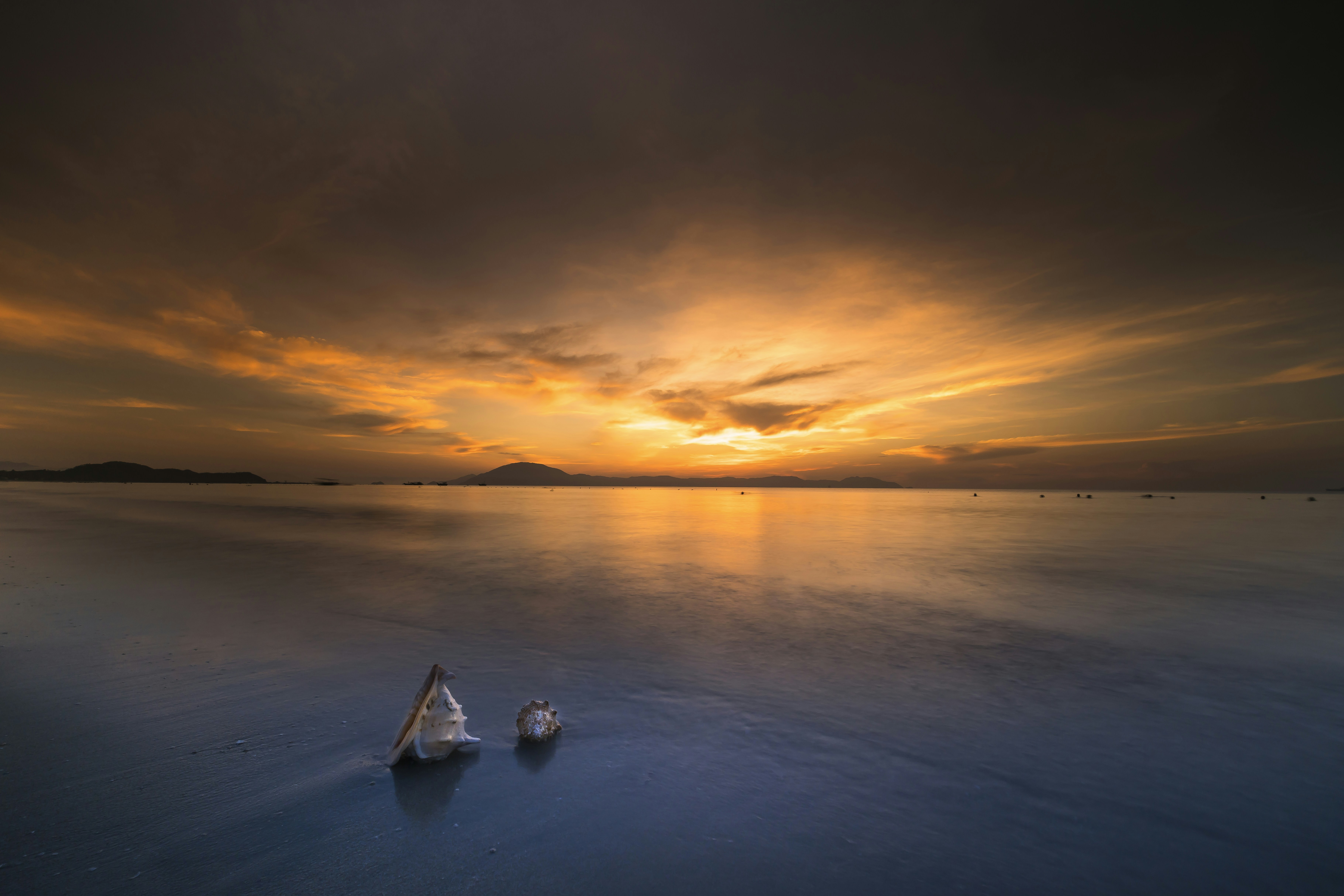 Photo by quangpraha