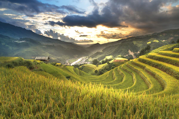 Reunification Express train and luxury transport in Vietnam