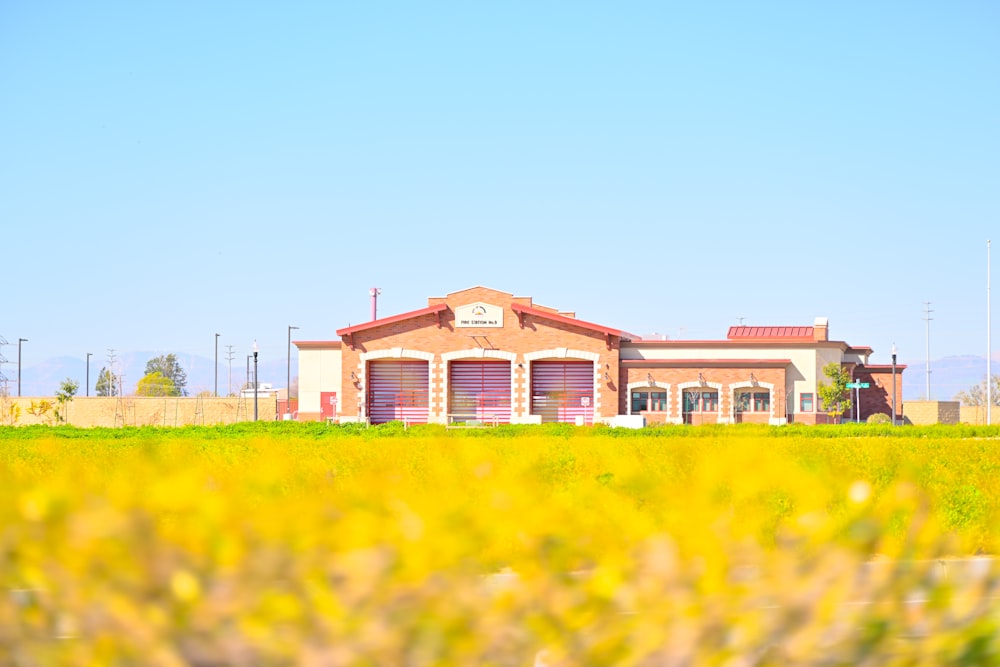 a building in a field of grass with a sky background
