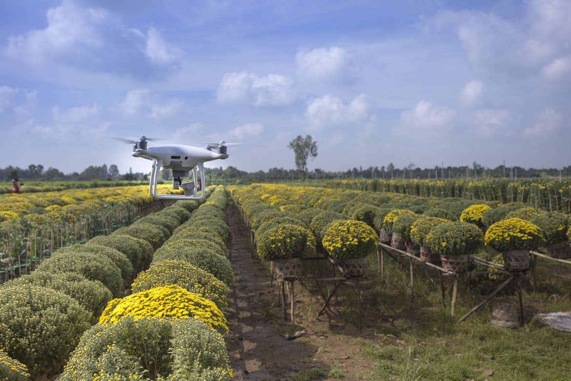 Rural India landscape with technology hub