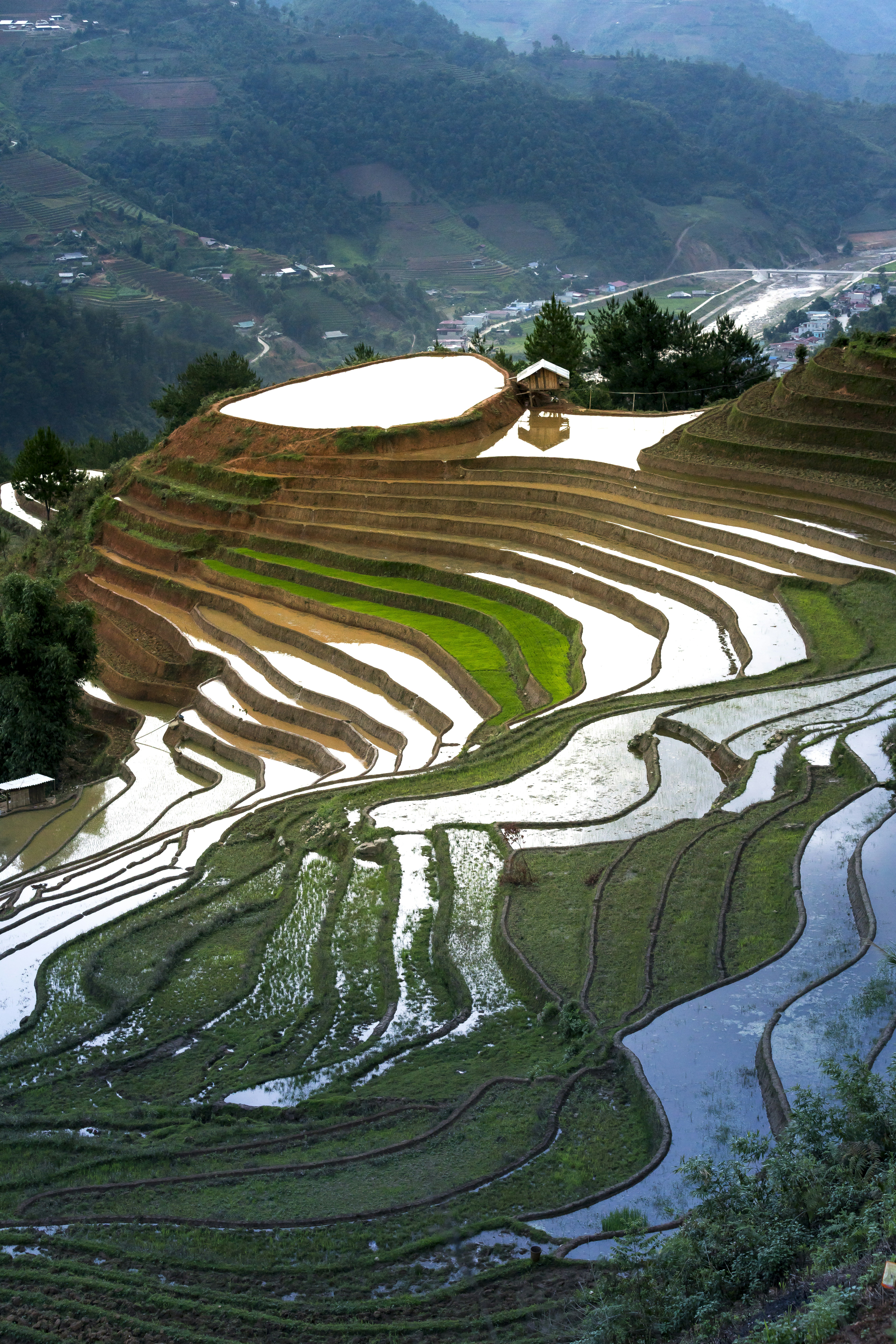 Photo by quangpraha