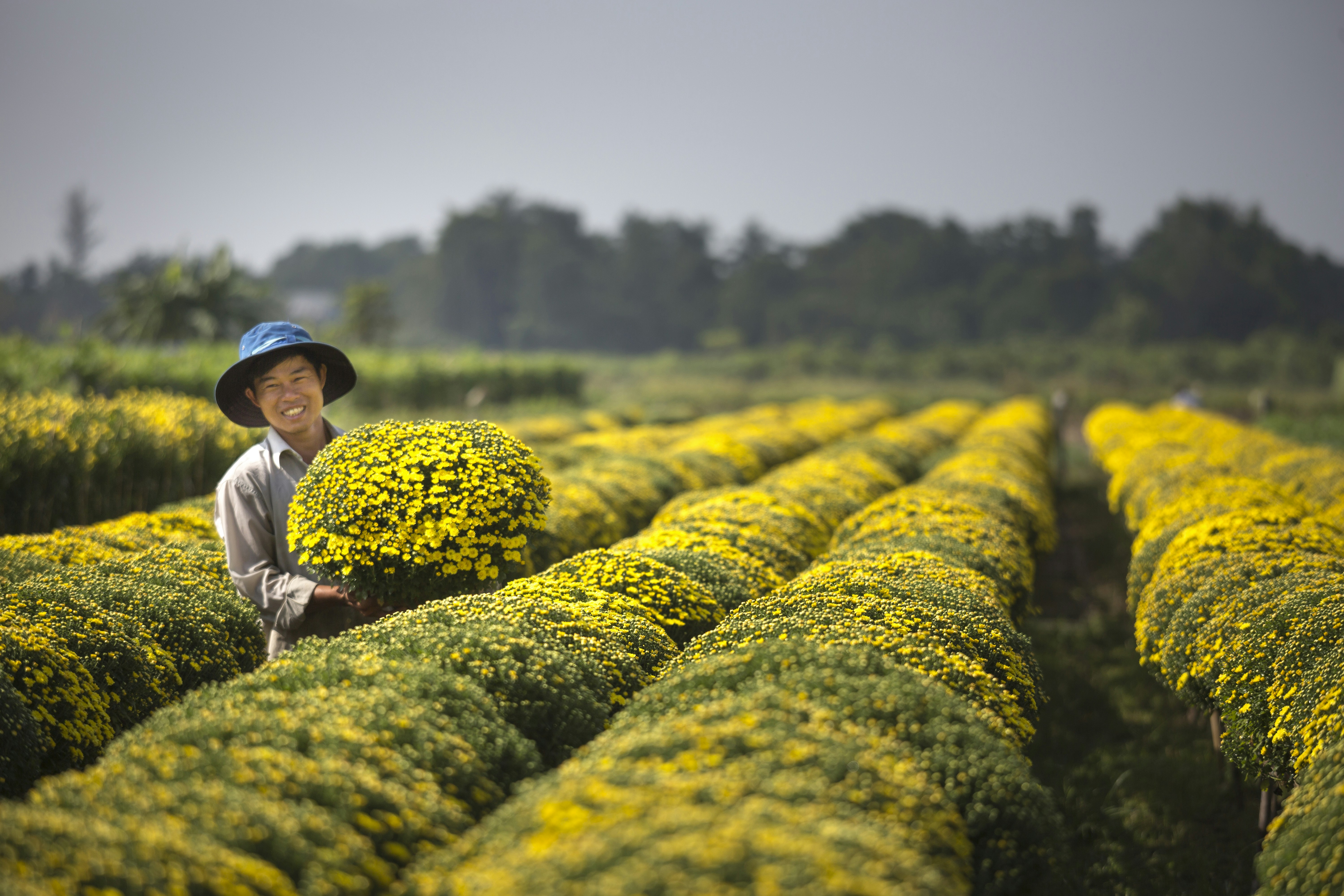 Photo by quangpraha