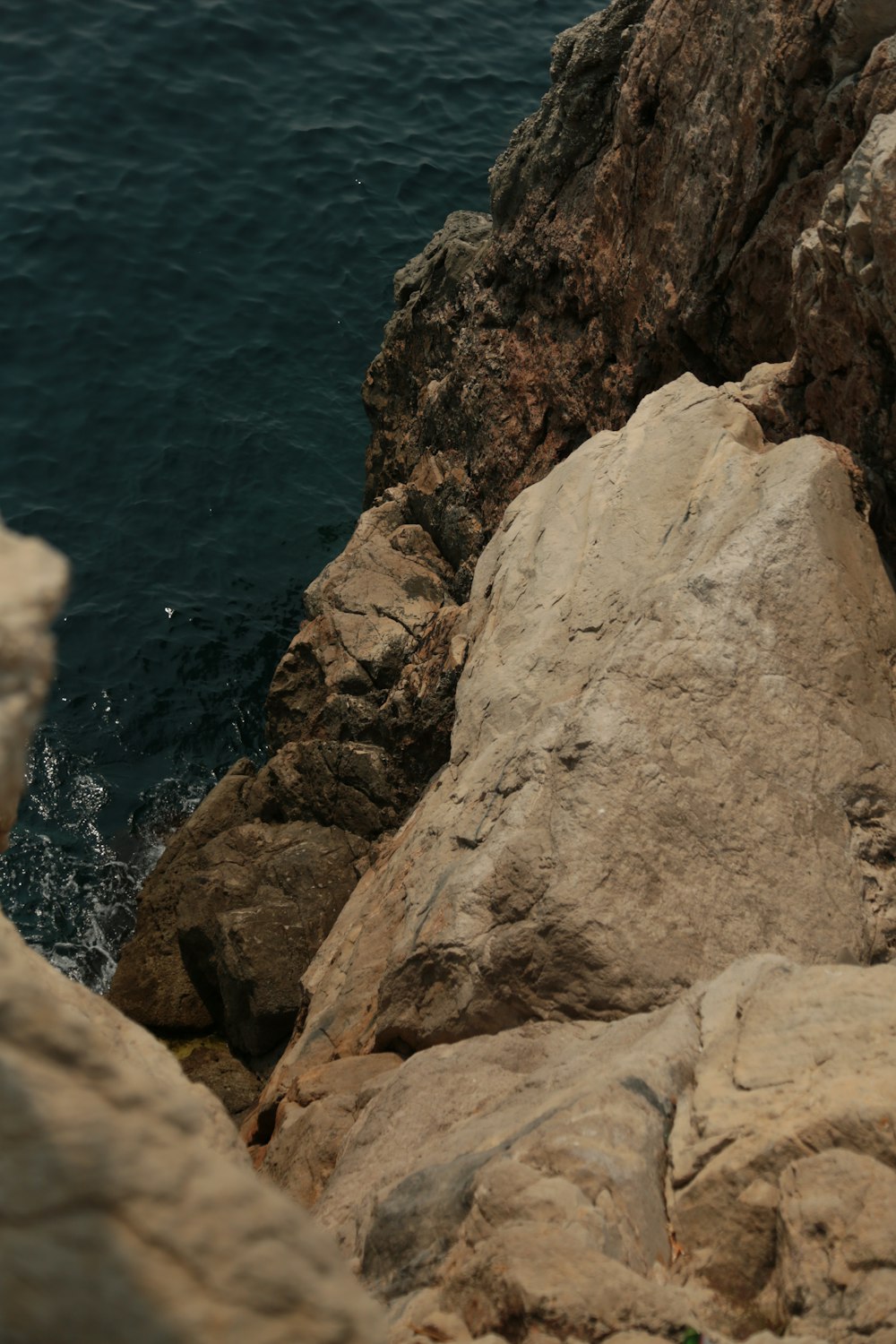 a bird sitting on a rock next to the ocean