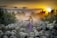 A person dressed in a purple garment with a yellow headscarf is standing in the middle of a flock of sheep on a dirt path. They are holding a lamb in their arms. The surrounding area is lush with greenery, and the background features a stunning sunset with golden, orange, and purple hues. Dust is rising from the ground, adding a mystical atmosphere to the scene.