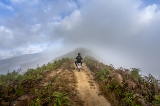 A motorcyclist is riding along a narrow dirt path surrounded by lush green ferns and vegetation. The path leads into a misty landscape with mountains partially obscured by fog. The sky is partially cloudy, adding to the atmospheric and adventurous setting.