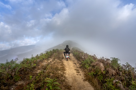 A motorcyclist riding through a misty forest at dawn, showcasing the thrill of adventure.