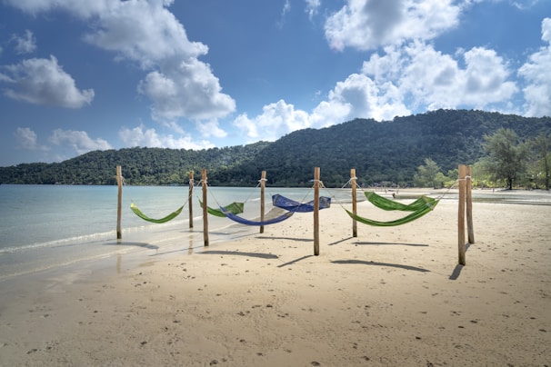A relaxing hammock set up on a beautiful beach.