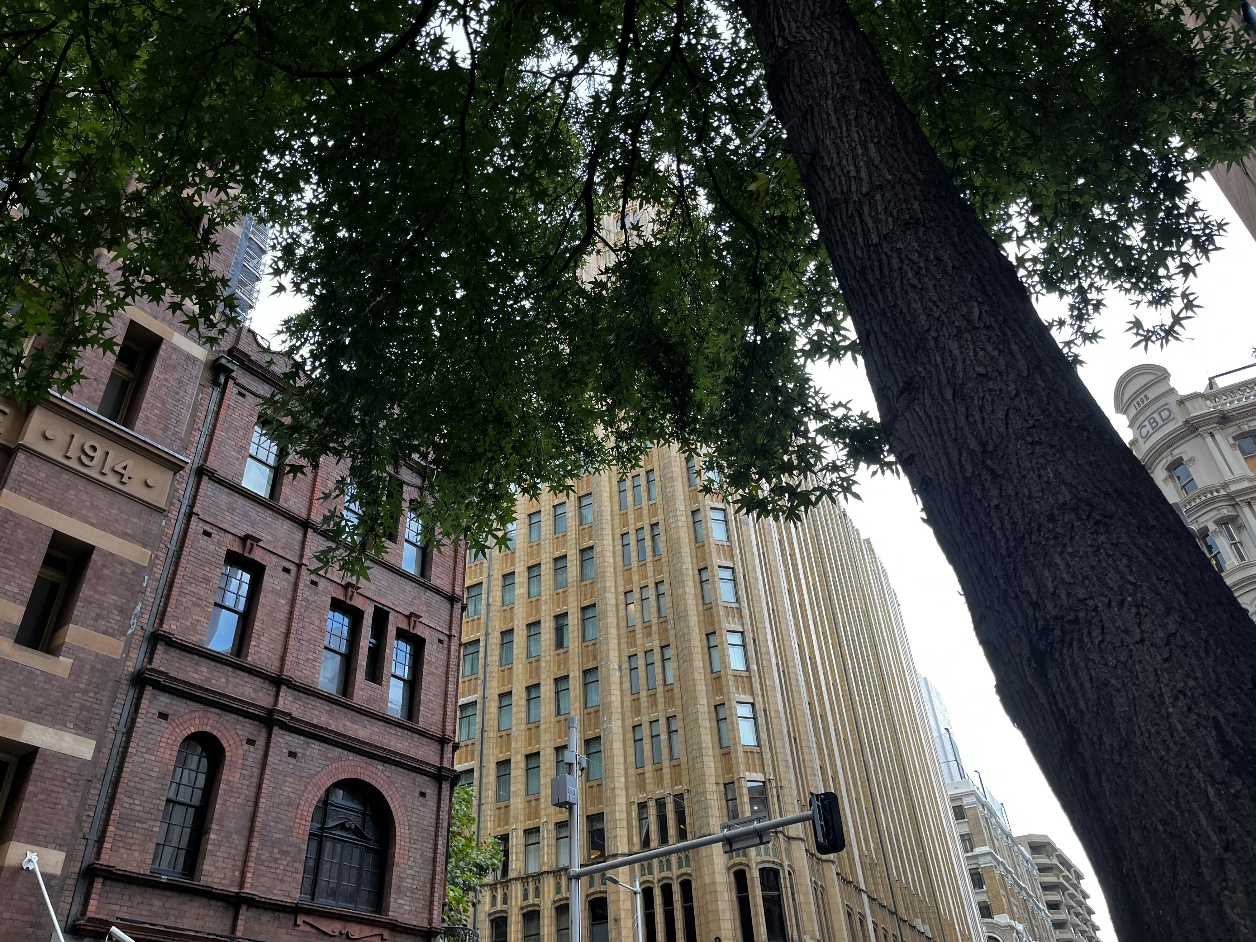 Darling Square Library