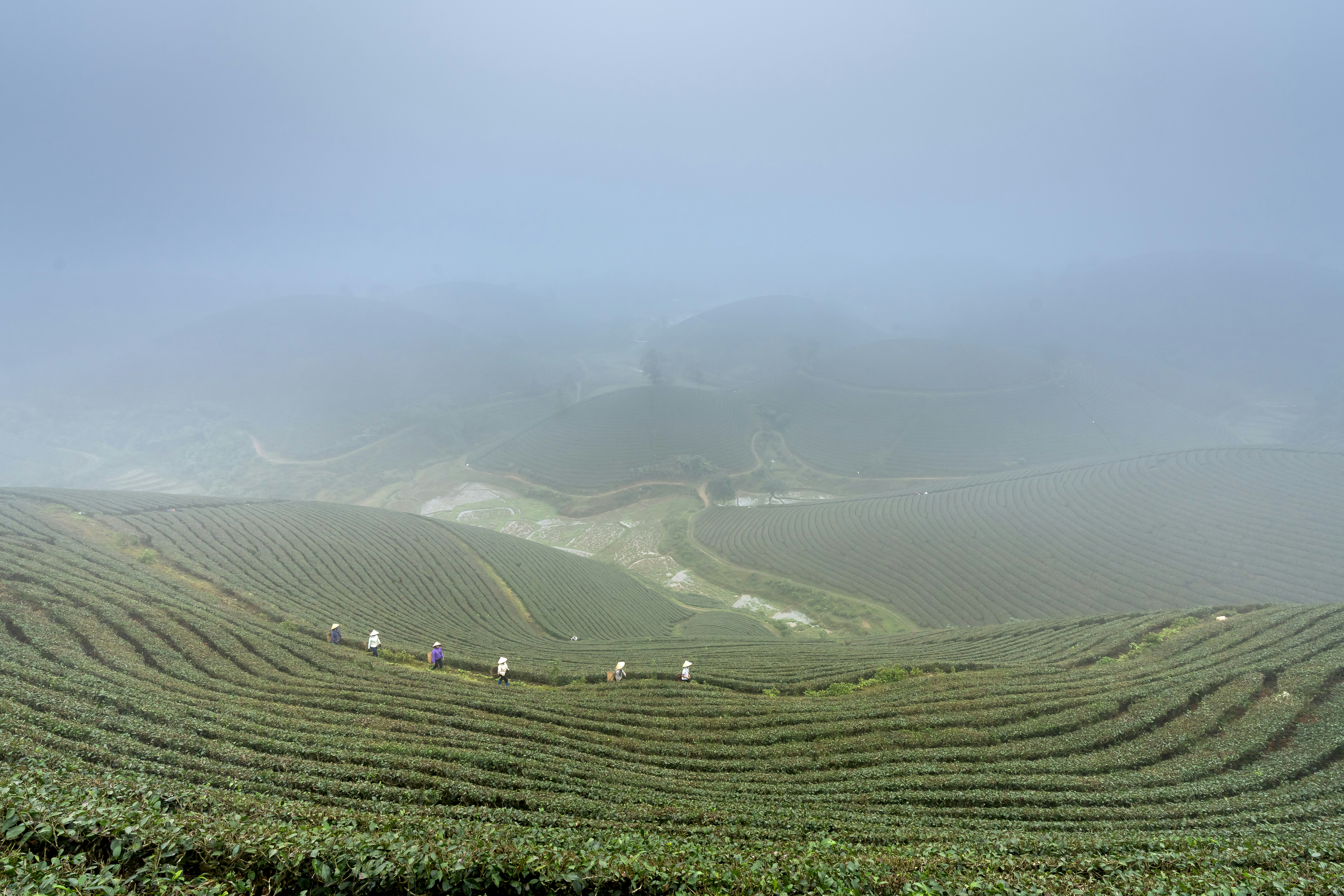 Photo by quangpraha