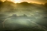 A scenic view of lush green tea plantations spread across rolling hills, with the golden light of sunrise filtering through misty clouds and illuminating the landscape. A small structure sits amidst the fields, with paths meandering through the plantations. The atmosphere is serene and peaceful, with a distant view of mountains on the horizon.