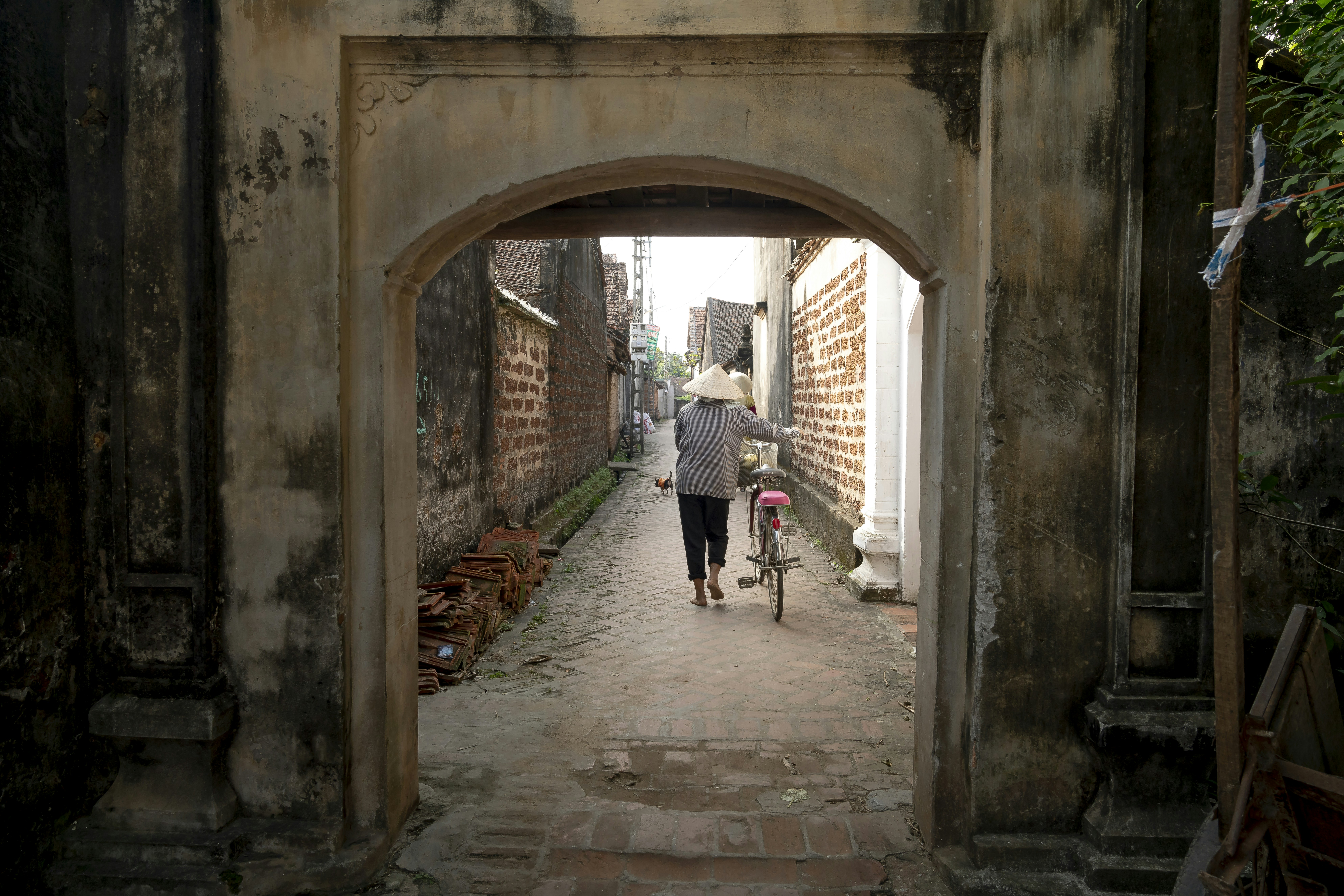Photo by quangpraha