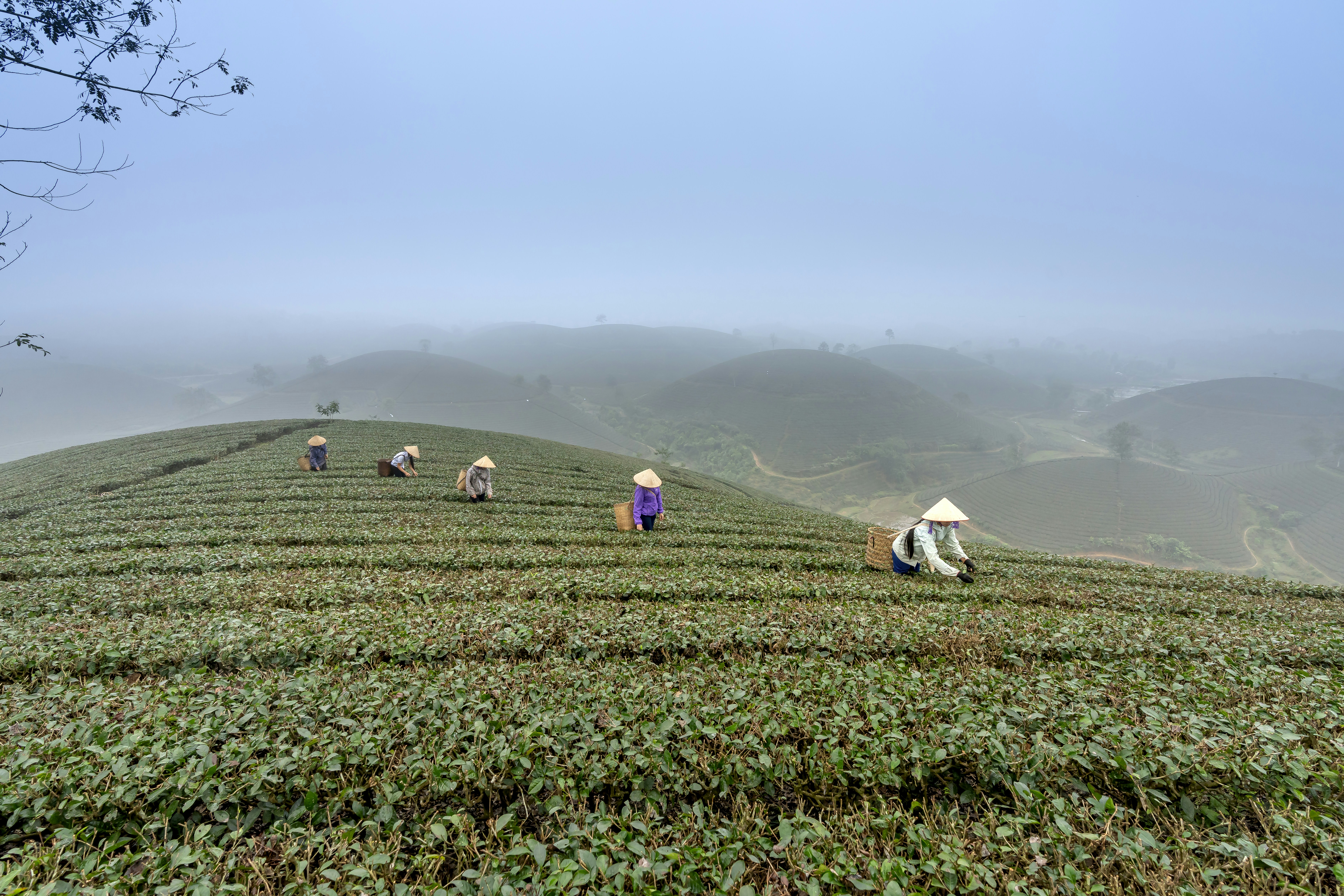 a group of people standing on top of a lush green hillside