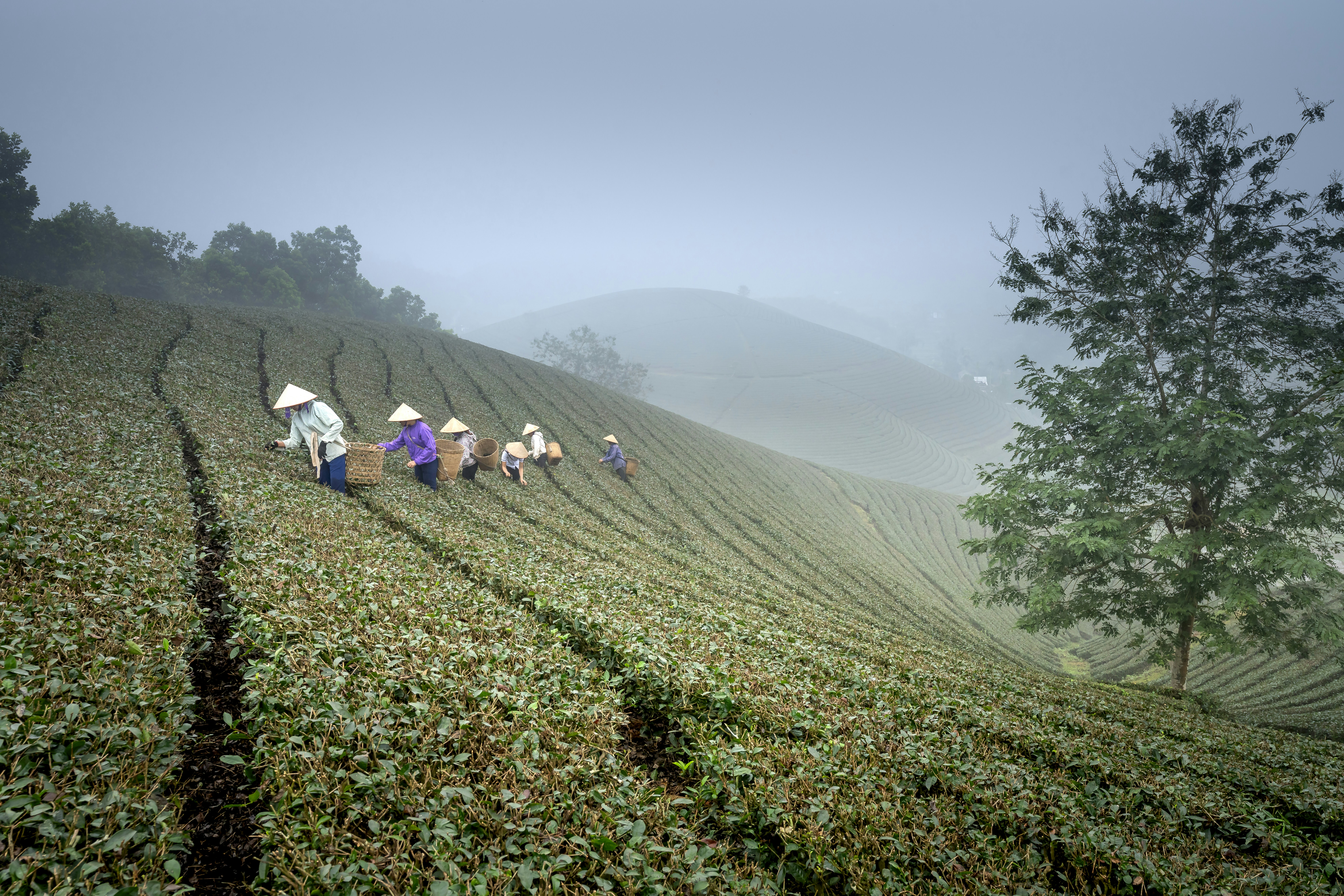 Photo by quangpraha