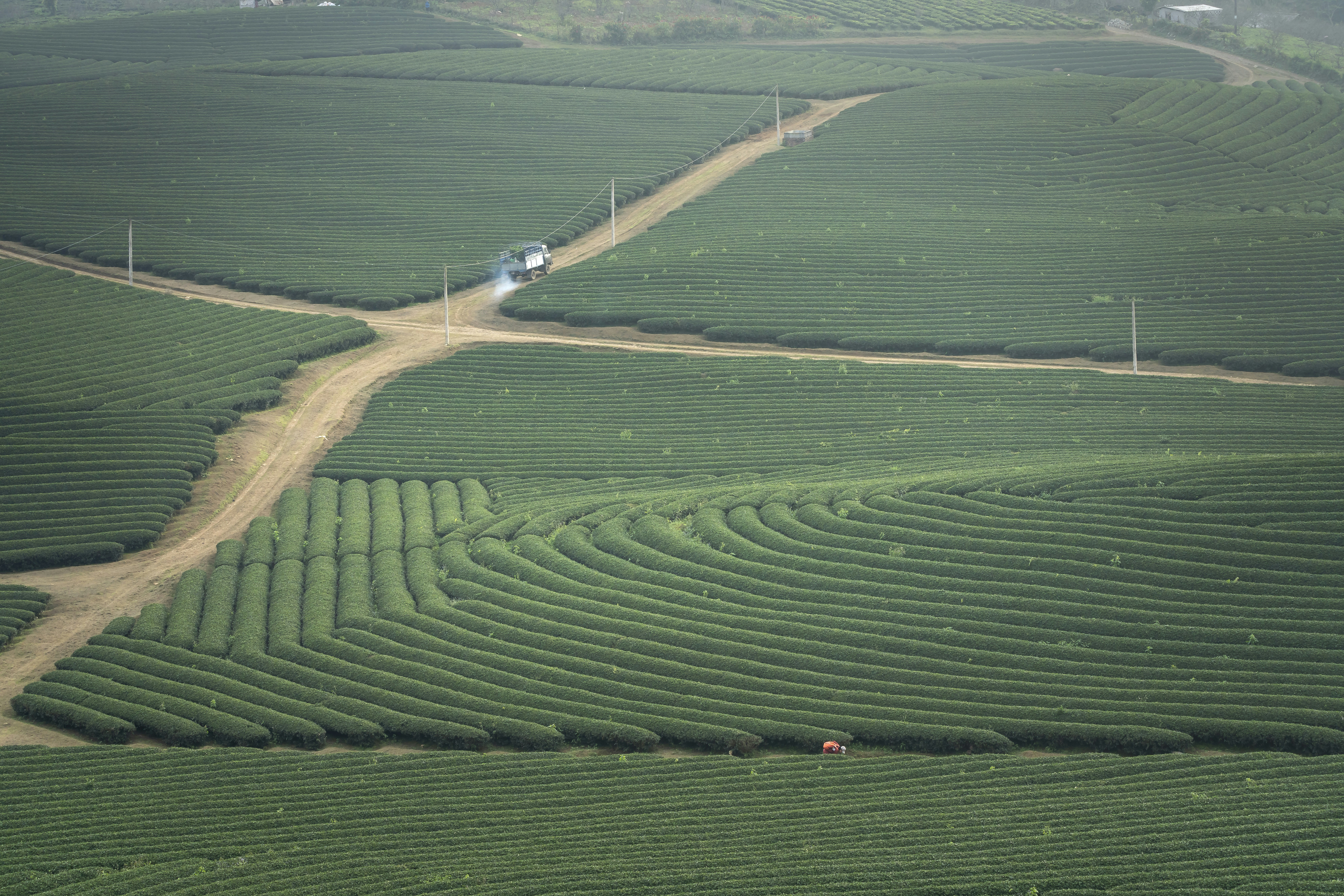 Field with dirt road