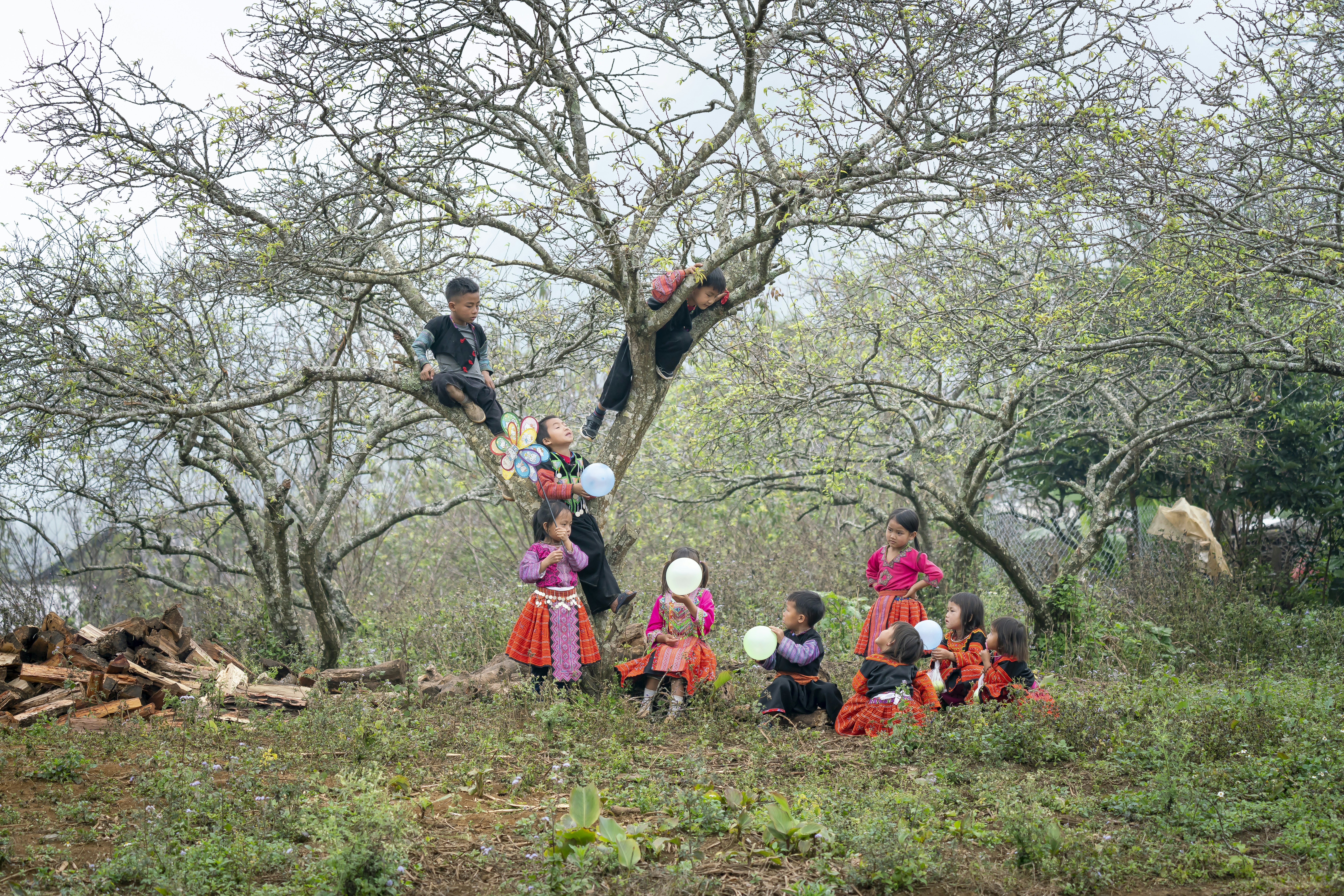 a group of children sitting on top of a tree