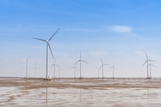 Numerous wind turbines are installed in a wide expanse of flat, barren land under a bright blue sky. The turbines are spread out evenly, with some facing slightly different directions. The ground below appears wet, possibly from recent rainfall or being part of a tidal flat.