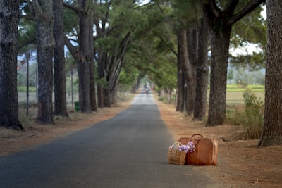 A serene road flanked by tall trees, leading into the distance. A leather suitcase and a basket with flowers are placed on the road, suggesting travel or a journey.