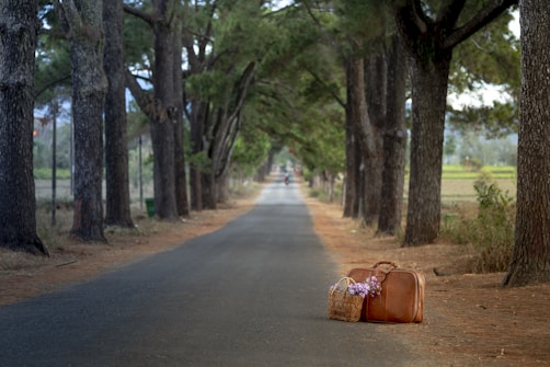 A serene road flanked by tall trees, leading into the distance. A leather suitcase and a basket with flowers are placed on the road, suggesting travel or a journey.