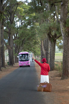 A person wearing a red jacket and hat stands on a tree-lined road, gesturing with their arm extended. In front of them on the ground are a wicker basket with flowers and a brown suitcase. A pink bus approaches from the background.