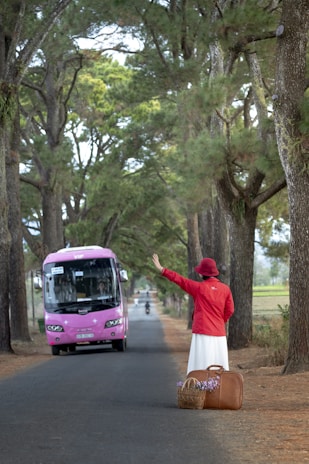 A person dressed in a red coat and hat stands along a tree-lined road, waving at an approaching pink bus. Nearby, a brown suitcase and a basket filled with purple flowers rest on the ground. The road is flanked by large, lush trees, creating a picturesque, serene scene.