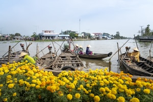 A scenic riverside view depicts several traditional wooden boats moored along the riverbank, with people wearing conical hats seated in them. In the foreground, there is a vibrant display of yellow marigold flowers. The background features a serene waterway with buildings and trees lining the opposite bank, under a clear blue sky.