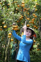 a woman picking oranges from a tree