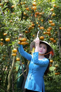 a woman picking oranges from a tree