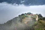 A small house is situated on a lush green hilltop surrounded by mist. The structure has a green roof and wooden walls, and is adjacent to a winding dirt path. Dense fog blankets the valley below, creating a tranquil and secluded atmosphere. Trees and shrubs dot the landscape, enhancing the natural ambiance.