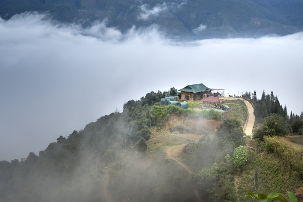 A small house is situated on a lush green hilltop surrounded by mist. The structure has a green roof and wooden walls, and is adjacent to a winding dirt path. Dense fog blankets the valley below, creating a tranquil and secluded atmosphere. Trees and shrubs dot the landscape, enhancing the natural ambiance.