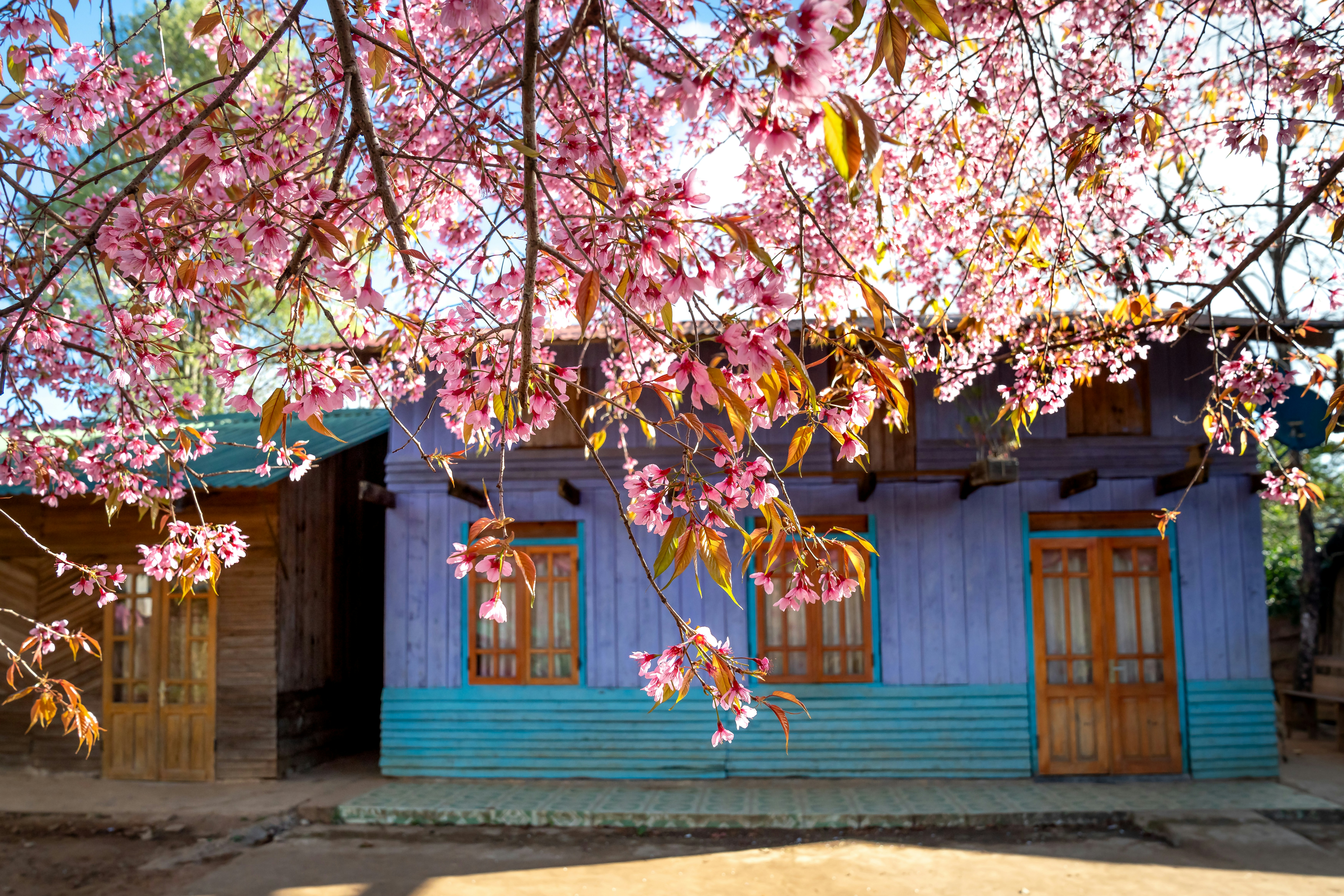 Photo by quangpraha