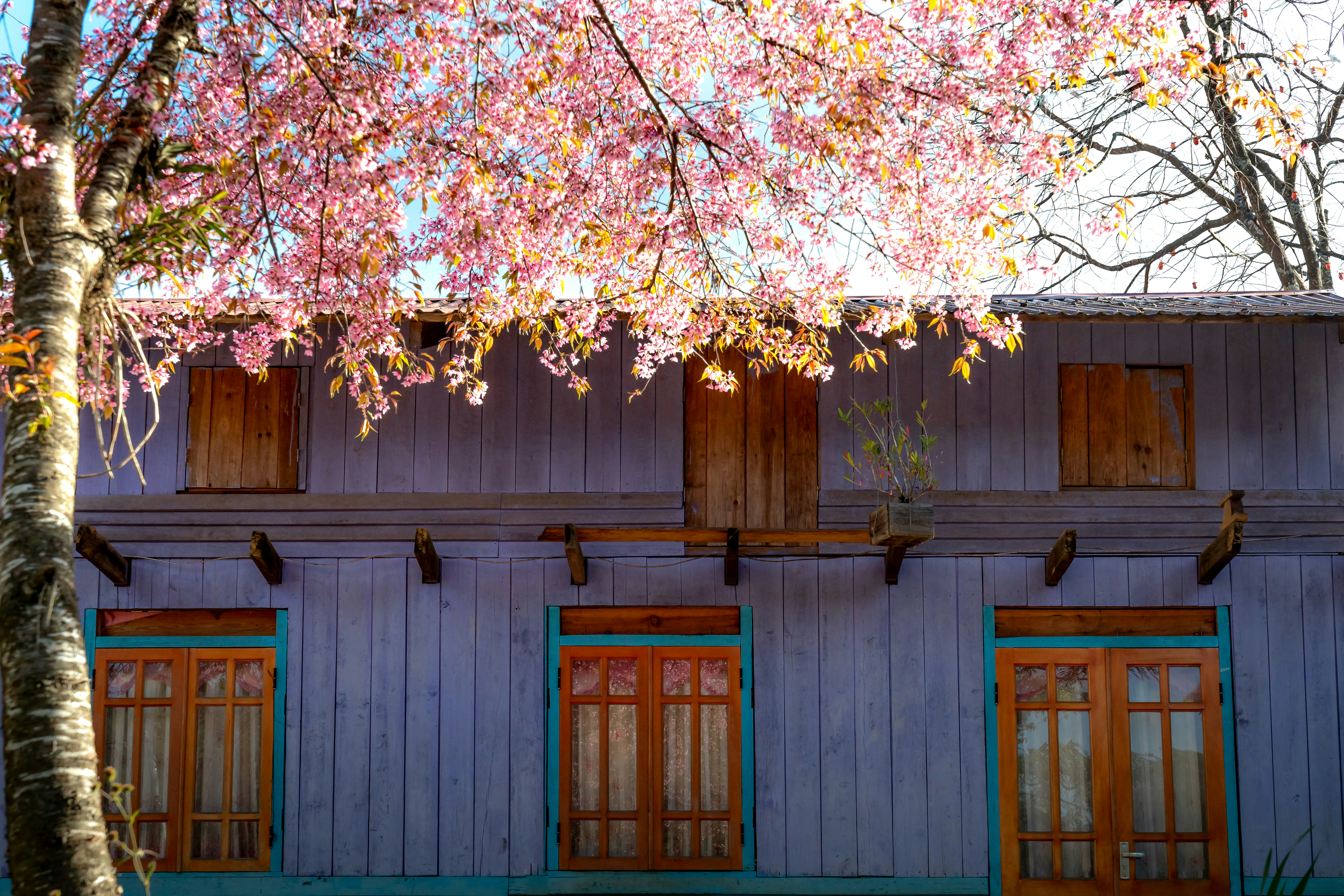 Photo by quangpraha