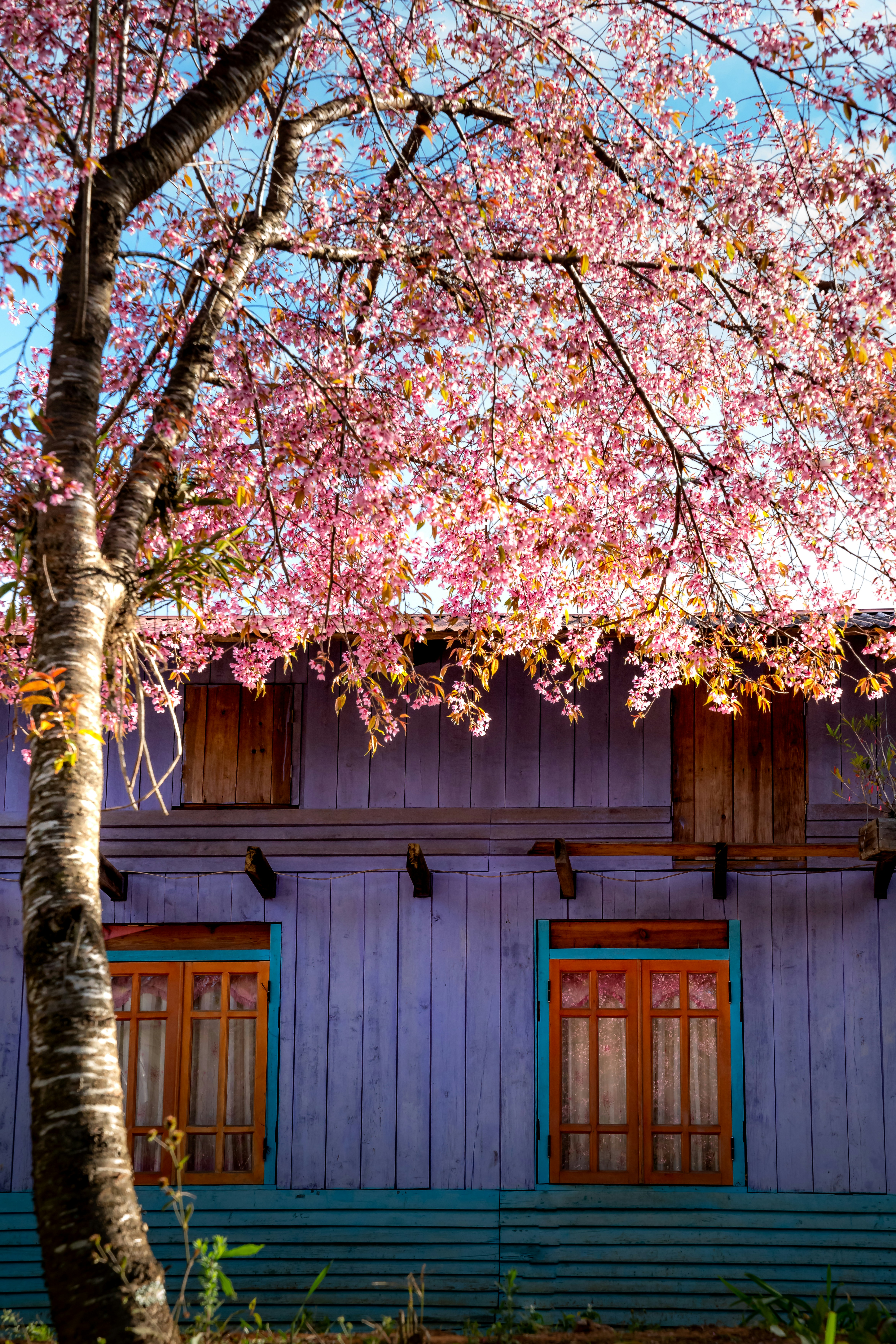 Photo by quangpraha