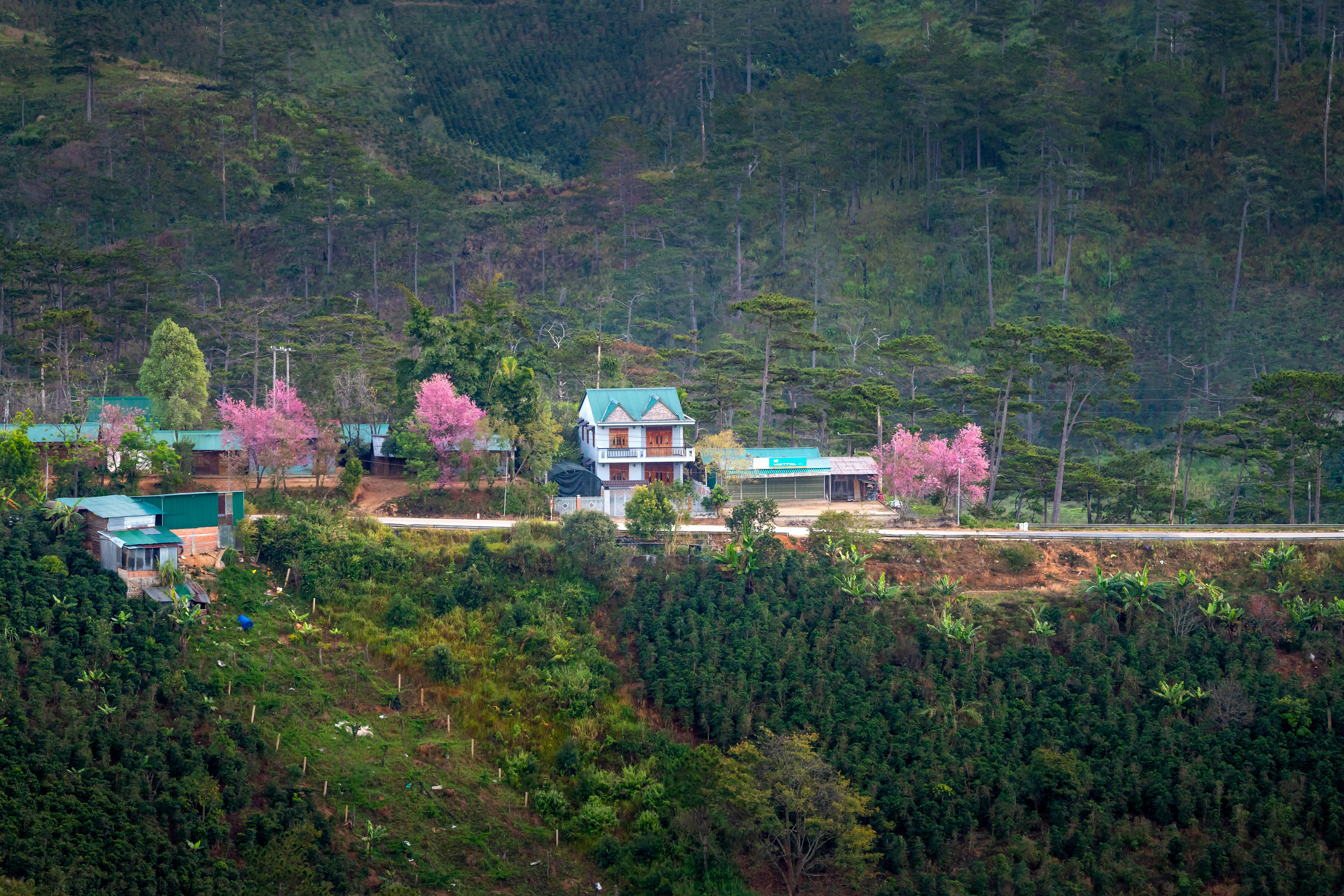 Photo by quangpraha