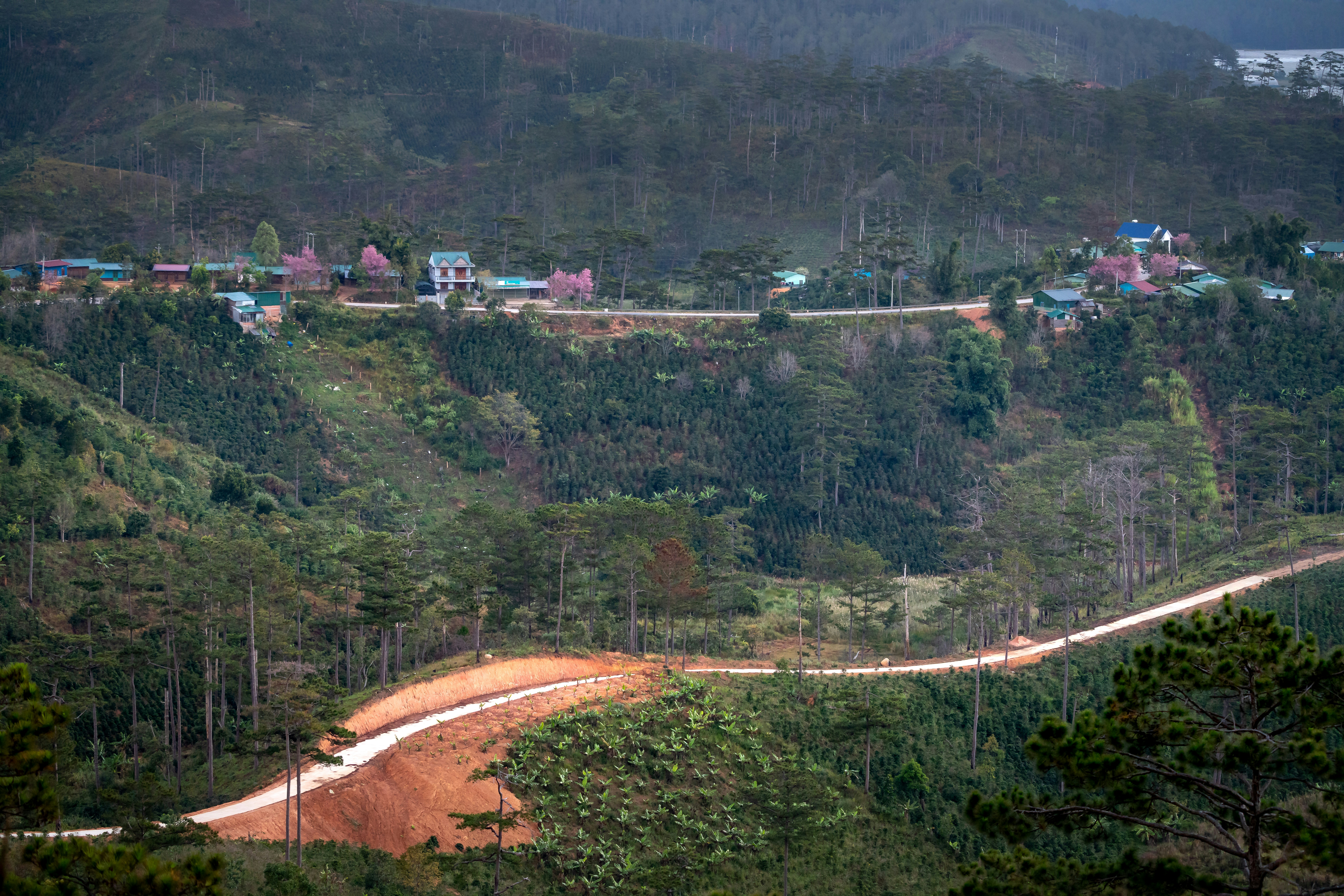 Photo by quangpraha