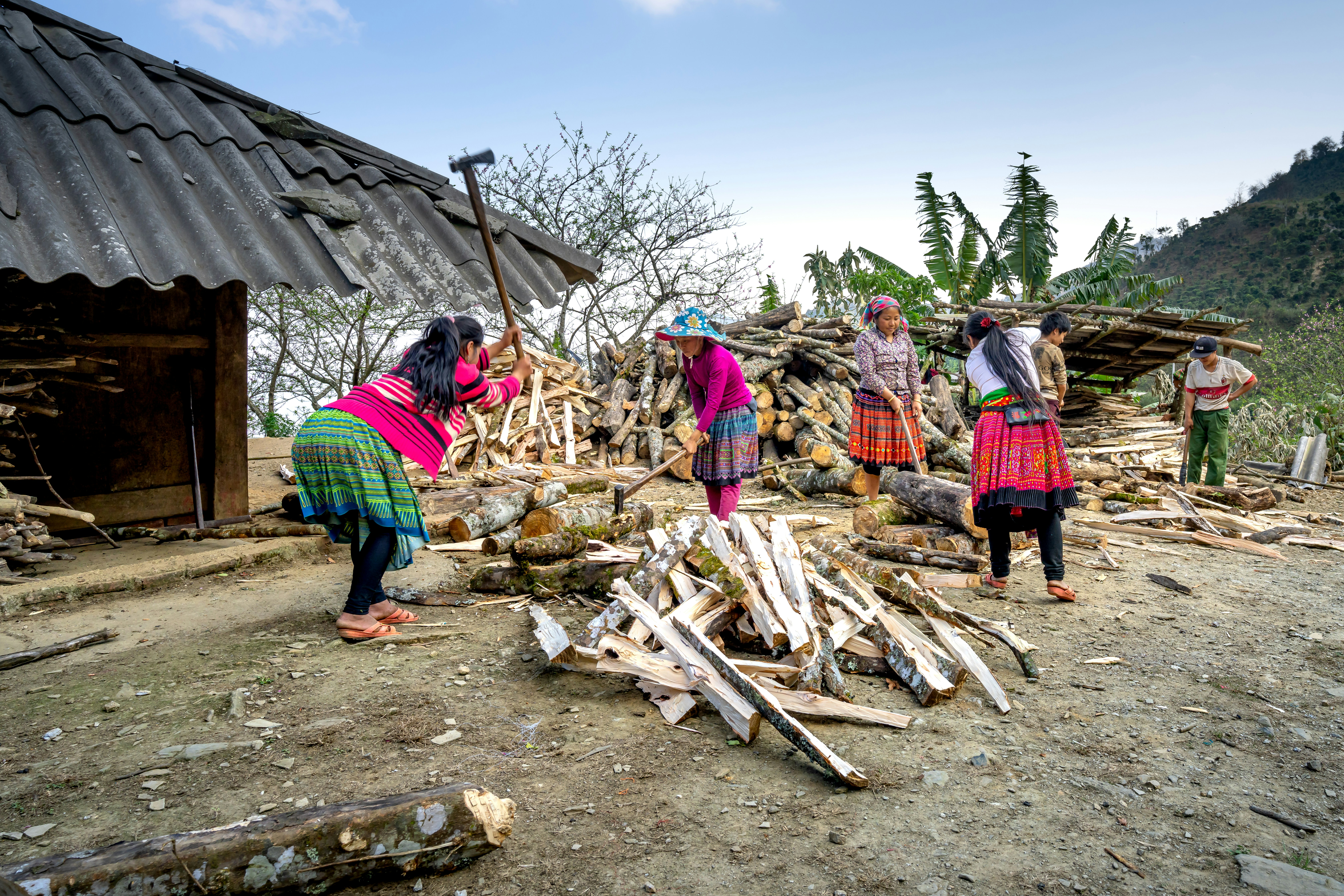 Women working together in a forest clearing, traditional clothing, focused expressions, natural light filtering through trees