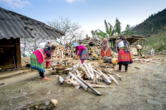 A group of people wearing vibrant, traditional clothing are chopping wood outdoors. Piles of chopped wood are scattered around as they work together near a simple structure with a corrugated metal roof. The background features a mountainous landscape with sparse vegetation and banana trees.