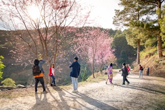 A small group enjoying a guided walk through a quiet Kyoto street lined with cherry blossoms.