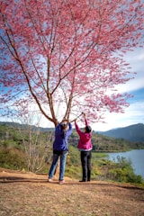 Couple sharing a quiet laugh under a blooming cherry tree.