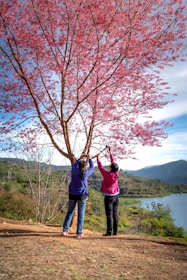 A couple sharing a kiss under a cherry blossom tree, representing connection.